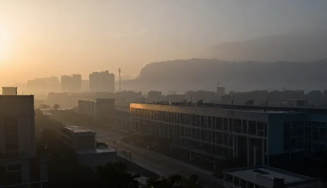 技术推广：如何正确选择适合的草坪产品